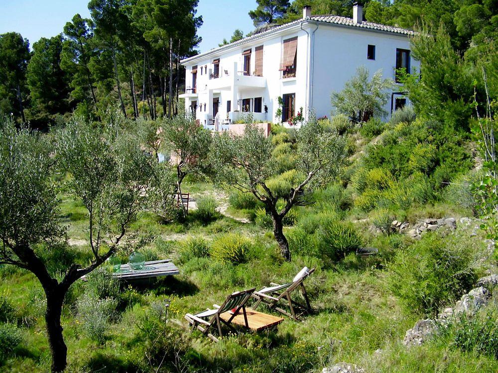 Shariqua (Adults Only) Bed and Breakfast Jérica Exteriör bild